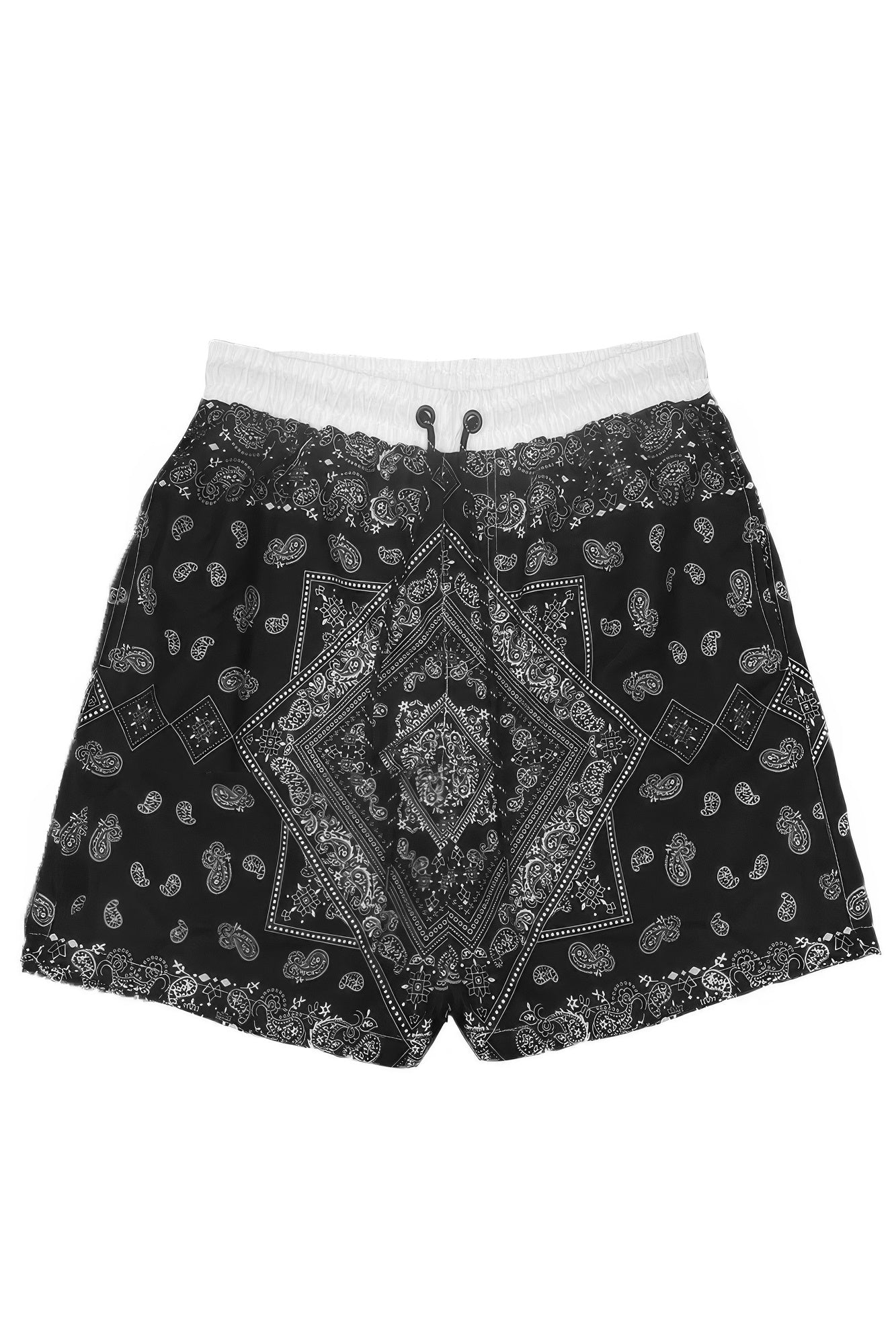 Paisley Bandana Print Swimming Shorts 2