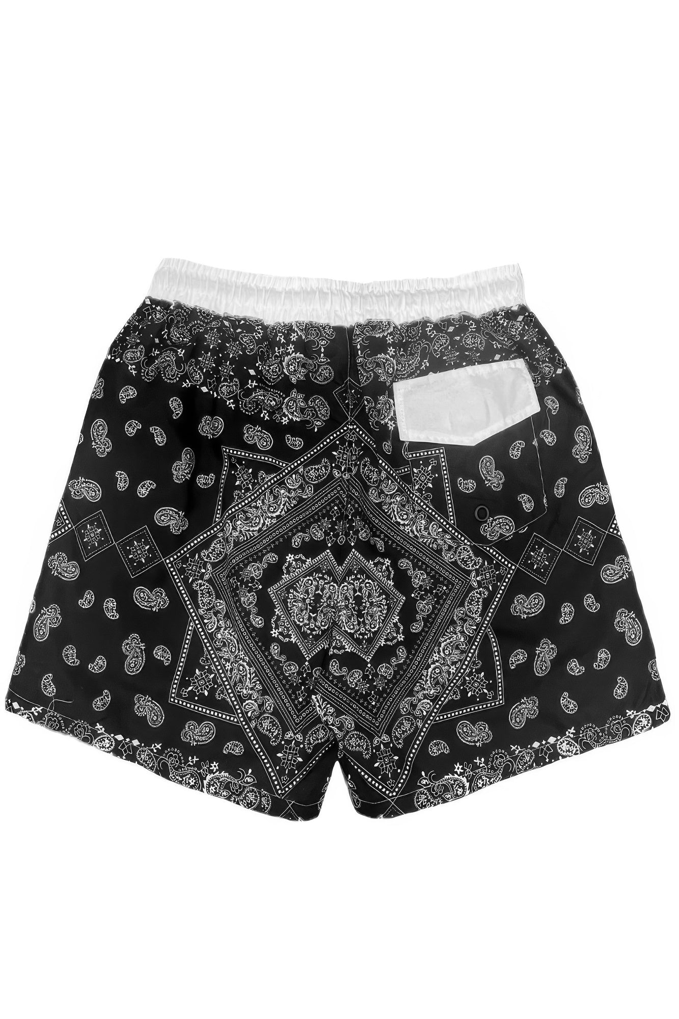 Paisley Bandana Print Swimming Shorts 3