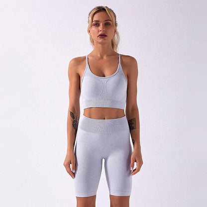 Professional Seamless Quick Dry Gym Outfit Fitness Clothing 2 Pieces Women Workout Sets Yoga Suit